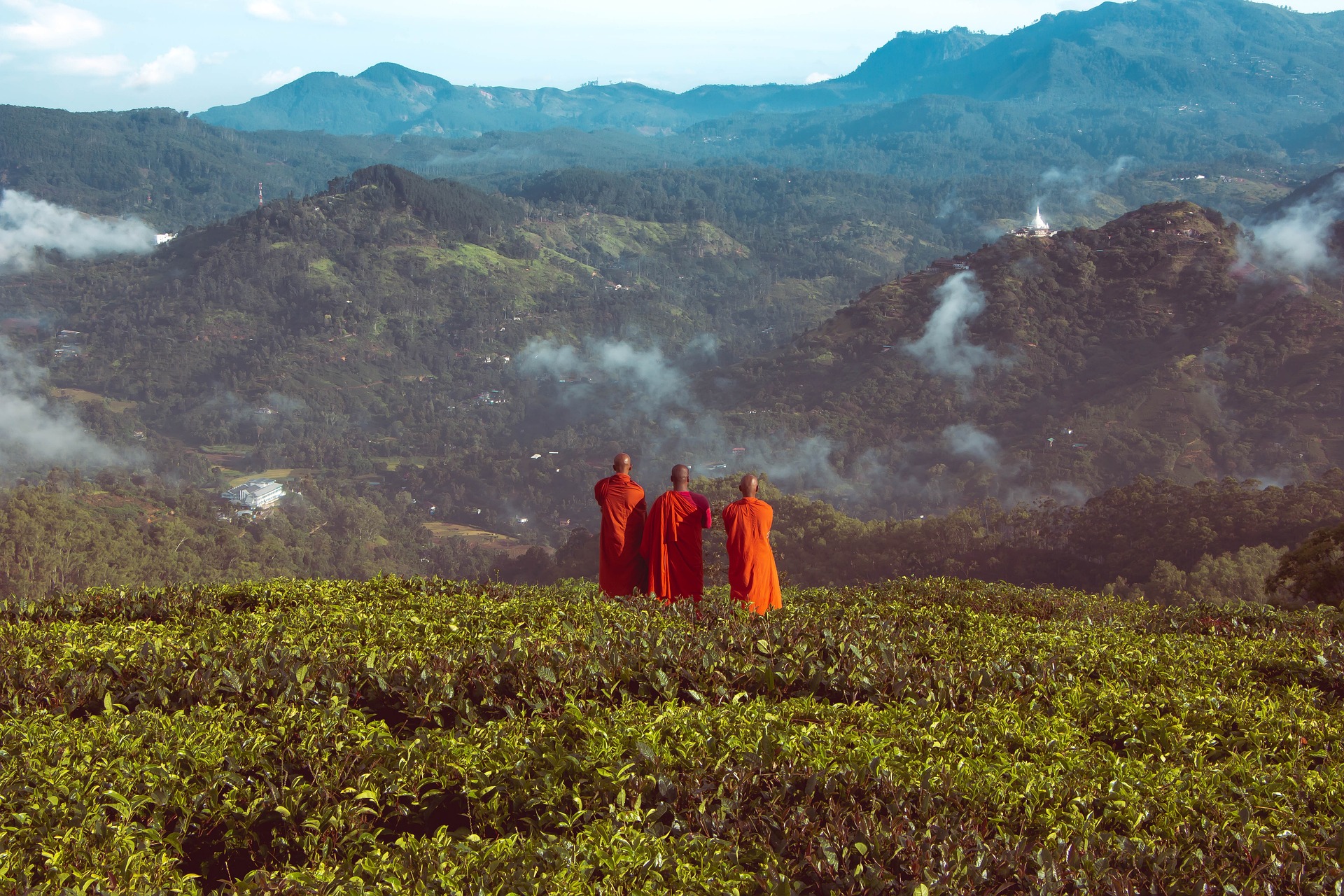 Monks in Sri Lanka